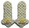 WELSH HERALDRY DEPUTY LORD SHOULDER BOARDS CORDS E