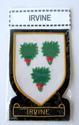 IRVINE SCOTTISH CLAN NAME BADGE GOLD SILVER BULLIO