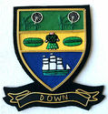 HAND EMBROIDERED IRISH COUNTY - DOWN - COLLECTORS 