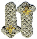 WELSH HERALDRY DEPUTY LORD SHOULDER BOARDS CORDS E