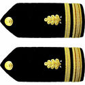 NEW US NAVY LIEUTENANT JUNIOR GRADE DENTAL CORP HA