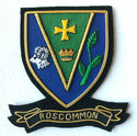 HAND EMBROIDERED IRISH COUNTY ROSCOMMON COLLECTORS