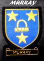 MURRAY SCOTTISH CLAN NAME BADGE GOLD SILVER BULLIO