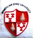 MONTCLAIR STATE UNIVERSITY COLLEGE POCKET BADGE. C