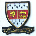 HAND EMBROIDERED IRISH COUNTY - CARLOW - COLLECTOR