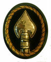 United States Special Operations Command Insignia 