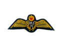 PAKISTAN AIR FORCE PILOT GOLD BULLION WIRE WING  E