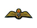 PAKISTAN AIR FORCE PILOT GOLD BULLION WIRE WING  E