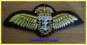 ROYAL NAVY FLEET AIR ARM BULLION WIRE PILOT WING Q