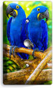 HYACINTH TROPICAL BLUE MACAW BIRDS PARROTS LIGHT D