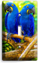 HYACINTH TROPICAL BLUE MACAW LOVE BIRDS PARROTS SI