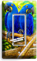 HYACINTH TROPICAL BLUE MACAW BIRDS PARROTS SINGLE 