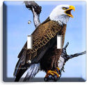 AMERICAN BALD EAGLE IN THE WILD LIGHT DOUBLE SWITC