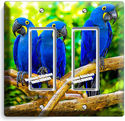 HYACINTH TROPICAL BLUE MACAW BIRDS PARROTS DOUBLE 