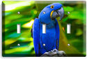 HYACINTH TROPICAL BLUE MACAW BIRD PARROT TRIPLE LI