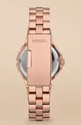 FOSSIL AM4402 NEW LADIES SYLVIA STAINLESS STEEL WA