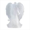 To add this item in your Shopping Cart drag and drop this picture there