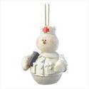To add this item in your Shopping Cart drag and drop this picture there