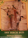 Birch Buds  50 gr -- Почки Березы