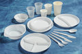 Plastic Bowls 7"