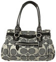 To add this item in your Shopping Cart drag and drop this picture there