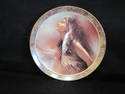 The Beauty Collector Plate by Lee Bogle