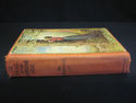 Antique Book - The Trail of the Lonesome Pine - 19