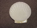 Mint Belleek Limpet Yellow Sandwich Plate 