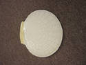 Mint Belleek Limpet Yellow Sandwich Plate 