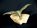 Eagle Sculpture - Cast Metal - Signed - Quartz Bas