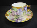 Rosenthal  China Cup and Saucer - Floral 