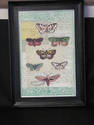 Unique Butterfly Print in Black Frame