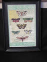 Unique Butterfly Print in Black Frame