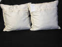 Pair of Ivory SIlk Embroidered Pillows