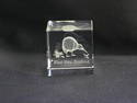 Unique Acrylic Clear Paper Weight Kiwi New Zealand