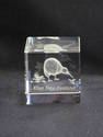 Unique Acrylic Clear Paper Weight Kiwi New Zealand