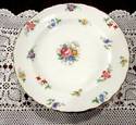 Set of 11 Tuscan Bone China Dessert Plates "Plant"