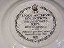 SPODE PLATE ARCHIVE COLLECTION BRITISH FLOWERS POP