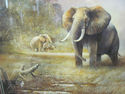 Framed Litho by Ruane Manning - Elephants