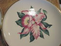 Set of Four Paden City Plates - Modern Orchid