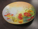 Handpainted Floral Plate - Czecho Slowakia "Sherra