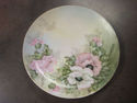 Handpainted Floral Plate - Bavaria