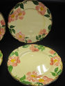 Set of Seven Dinner Plates - Desert Rose by Fransi