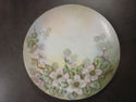 Handpainted Floral Plate - Austria