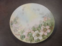 Hand painted Floral Plate - Bavaria