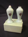 Carvanite Salt & Pepper Shakers - Souvenir of New 