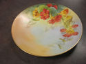 Handpainted Floral Plate - Czecho Slowakia "Sherra