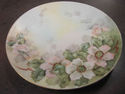 Hand painted Floral Plate - Bavaria