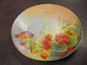 Handpainted Floral Plate - Czecho Slowakia "Sherra