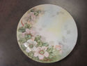 Hand painted Floral Plate - Bavaria